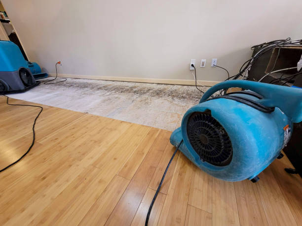 Professional Basement Flood Cleanup technician working in Birch Harbor, ME